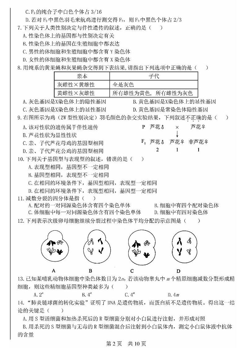 2024北京一零一中高一下学期期中生物（等级考）试卷02