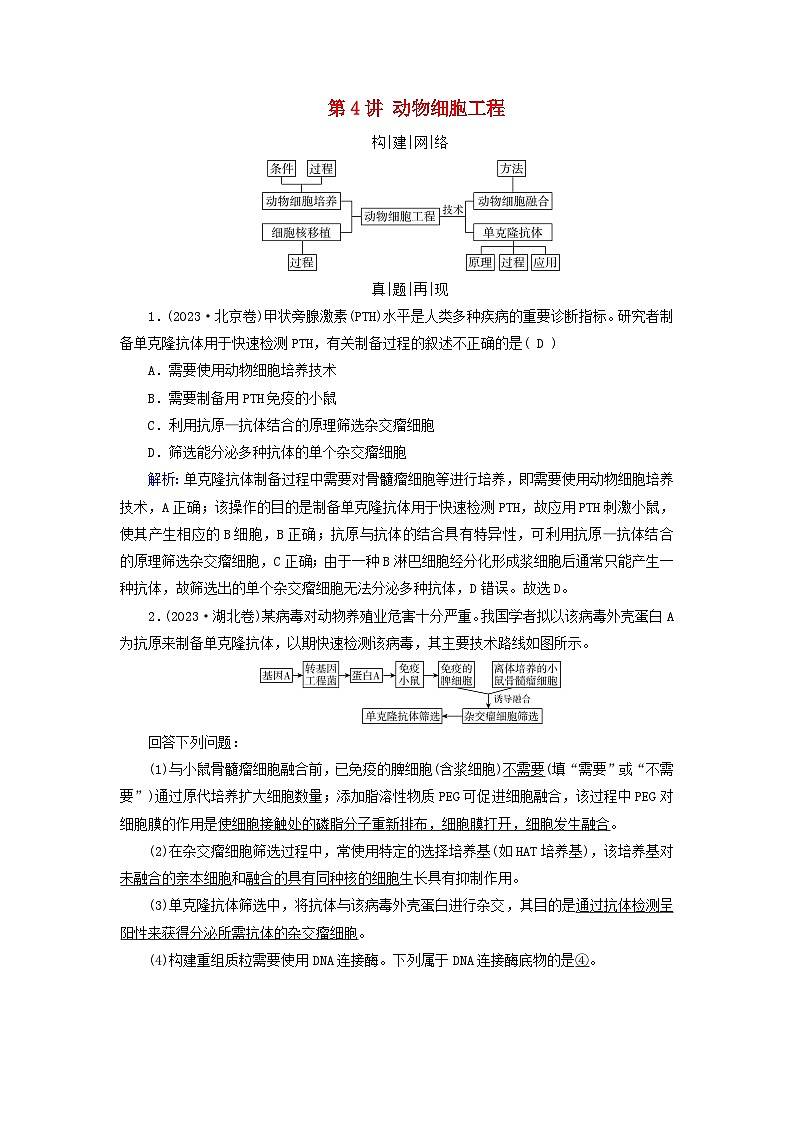 2025高考生物一轮复习素养提升练习选择性必修3第10单元生物技术与工程第4讲动物细胞工程01