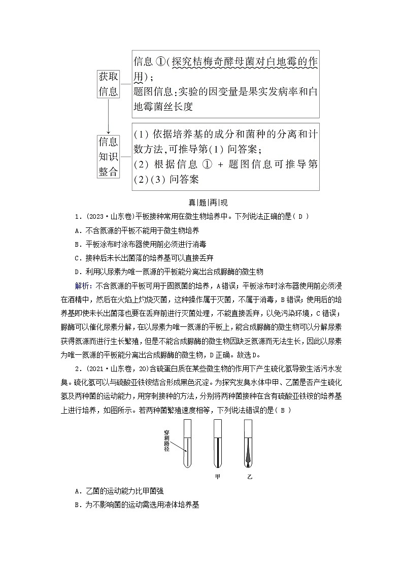 2025高考生物一轮复习素养提升练习选择性必修3第10单元生物技术与工程第2讲微生物的培养技术及应用02
