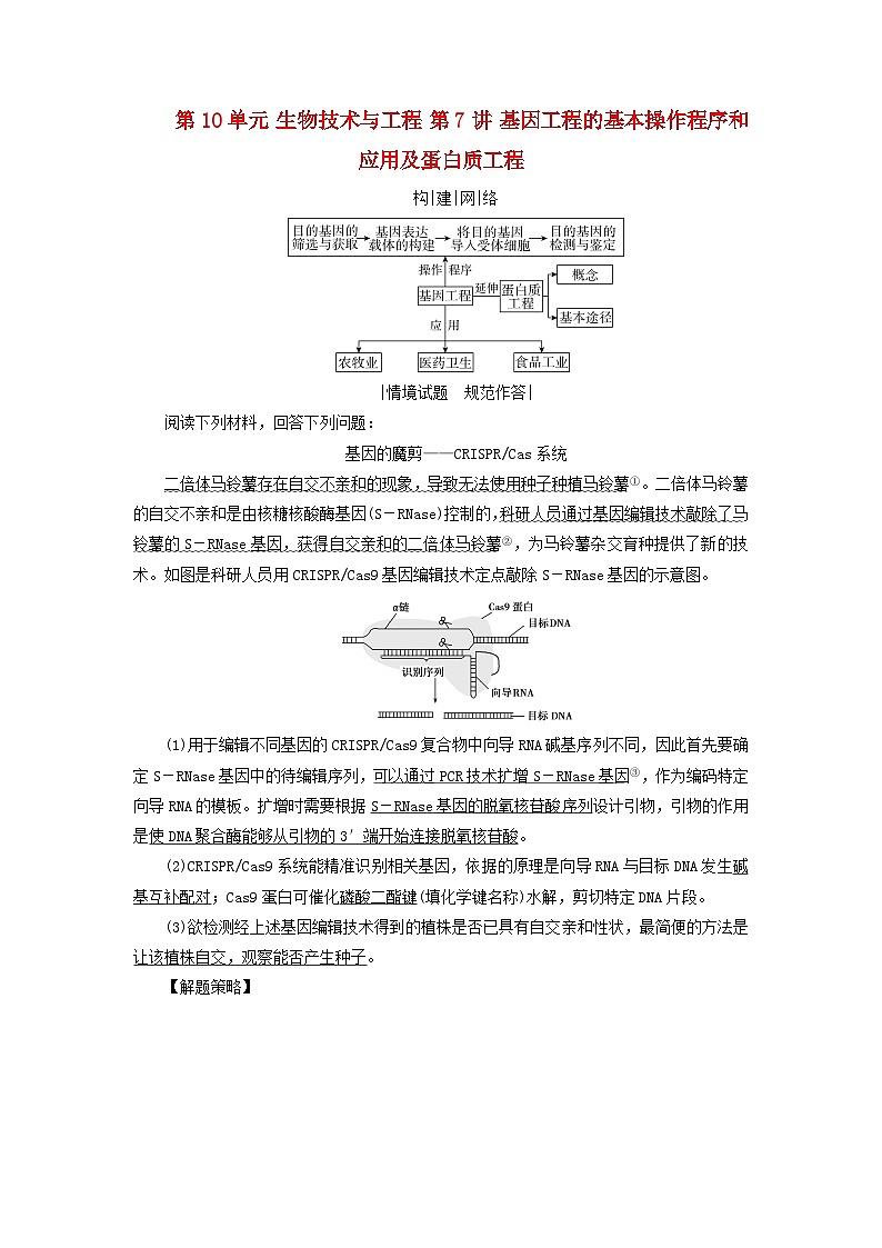 2025高考生物一轮复习素养提升练习选择性必修3第10单元生物技术与工程第7讲基因工程的基本操作程序和应用及蛋白质工程01
