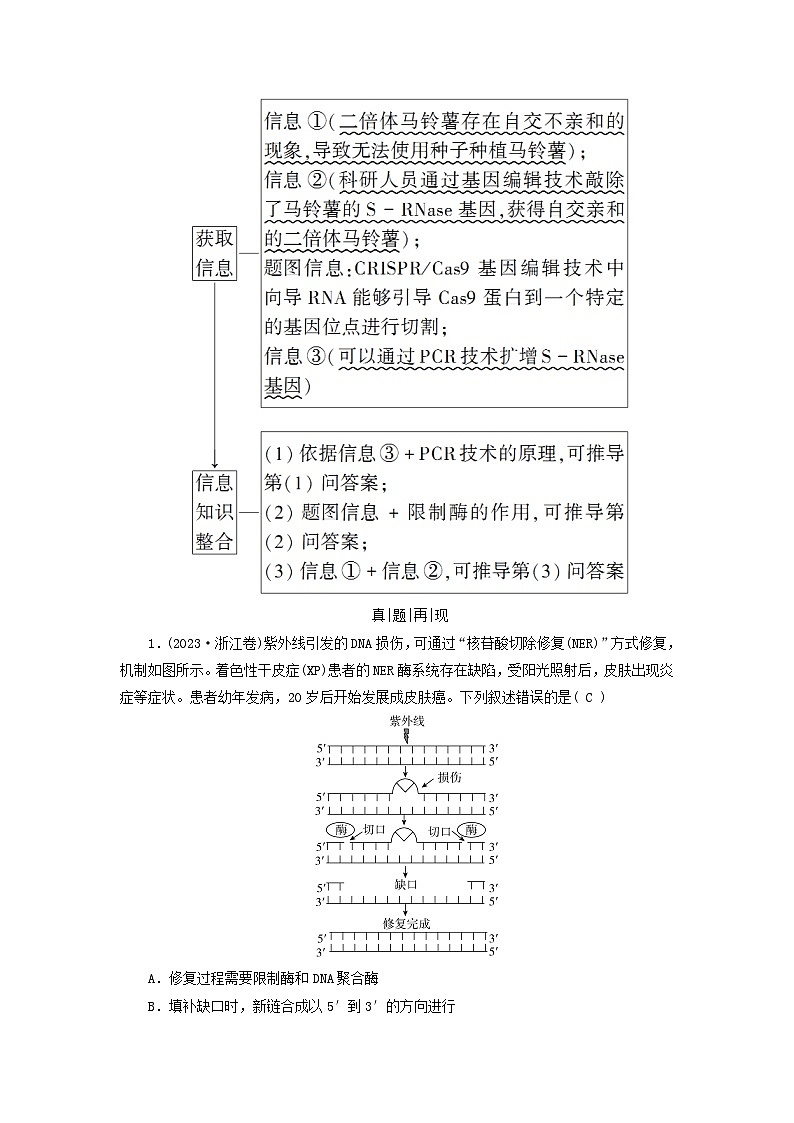 2025高考生物一轮复习素养提升练习选择性必修3第10单元生物技术与工程第7讲基因工程的基本操作程序和应用及蛋白质工程02