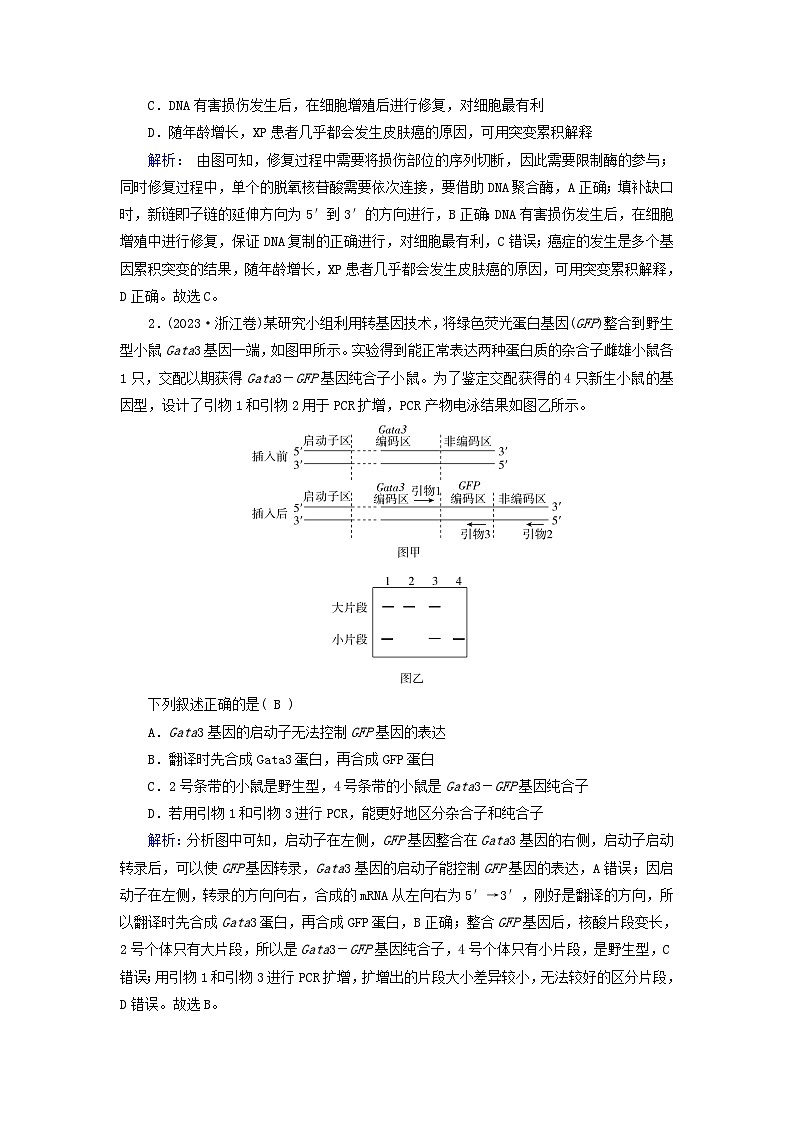 2025高考生物一轮复习素养提升练习选择性必修3第10单元生物技术与工程第7讲基因工程的基本操作程序和应用及蛋白质工程03