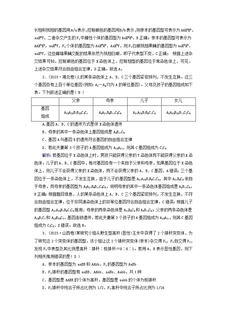 2025高考生物一轮复习素养提升练习必修2第5单元孟德尔定律和伴性遗传第2讲基因的自由组合定律第3页