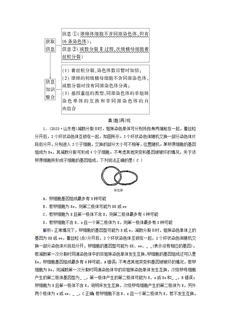 2025高考生物一轮复习素养提升练习必修1第4单元细胞的生命历程第2讲细胞的减数分裂和受精作用第2页