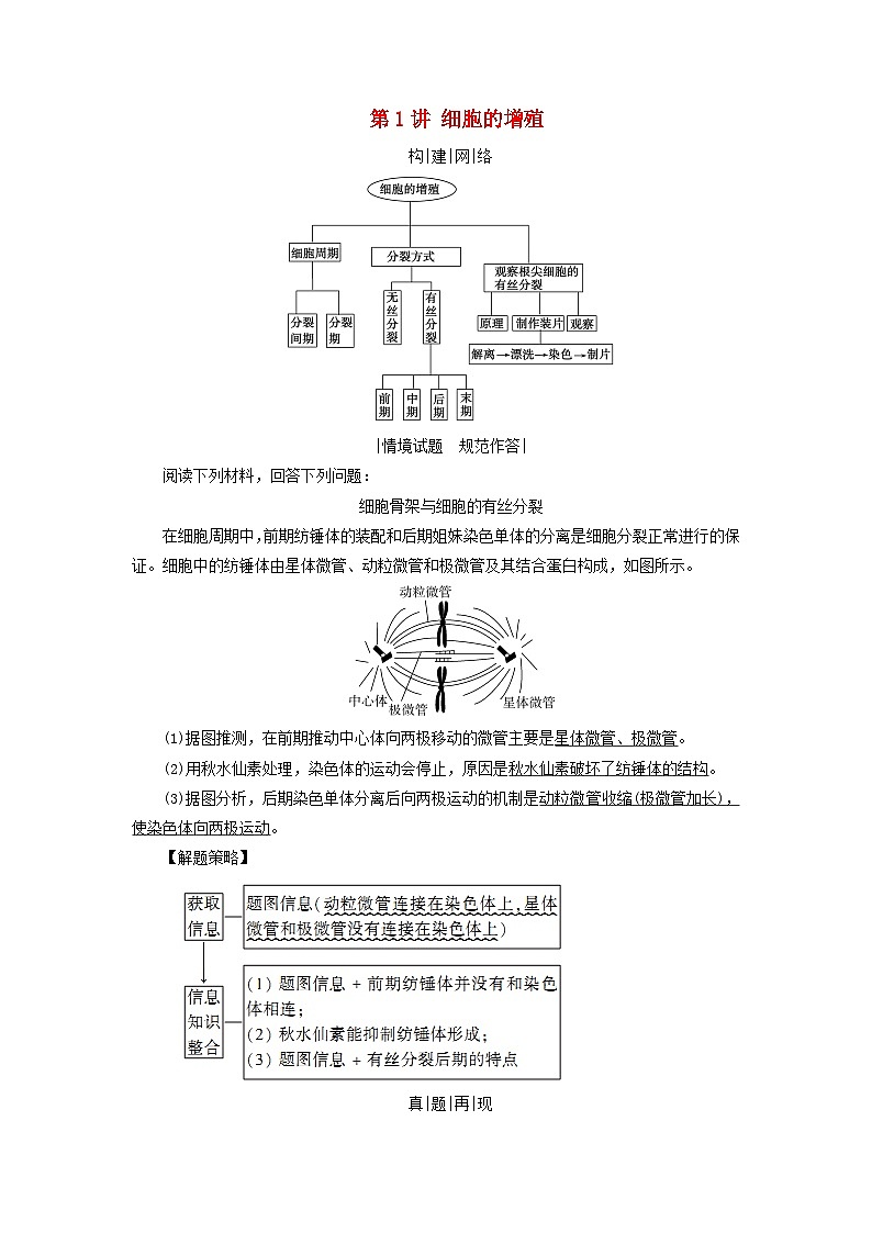 2025高考生物一轮复习素养提升练习必修1第4单元细胞的生命历程第1讲细胞的增殖第1页