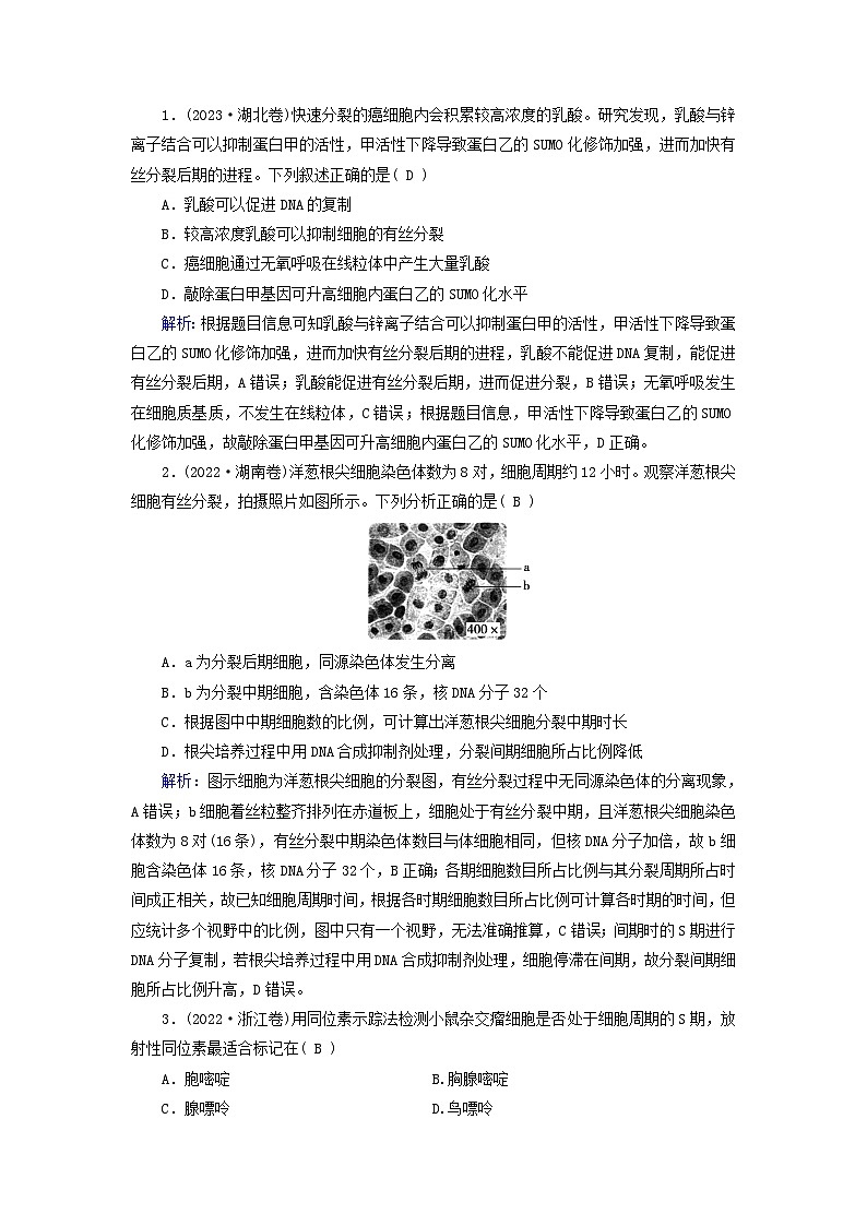 2025高考生物一轮复习素养提升练习必修1第4单元细胞的生命历程第1讲细胞的增殖第2页