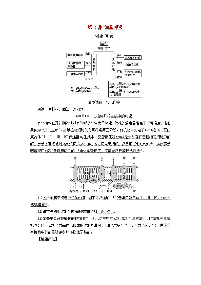 2025高考生物一轮复习素养提升练习必修1第3单元细胞的能量供应和利用第2讲细胞呼吸第1页