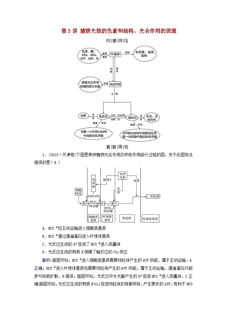 2025高考生物一轮复习素养提升练习必修1第3单元细胞的能量供应和利用第3讲捕获光能的色素和结构光合作用的原理第1页