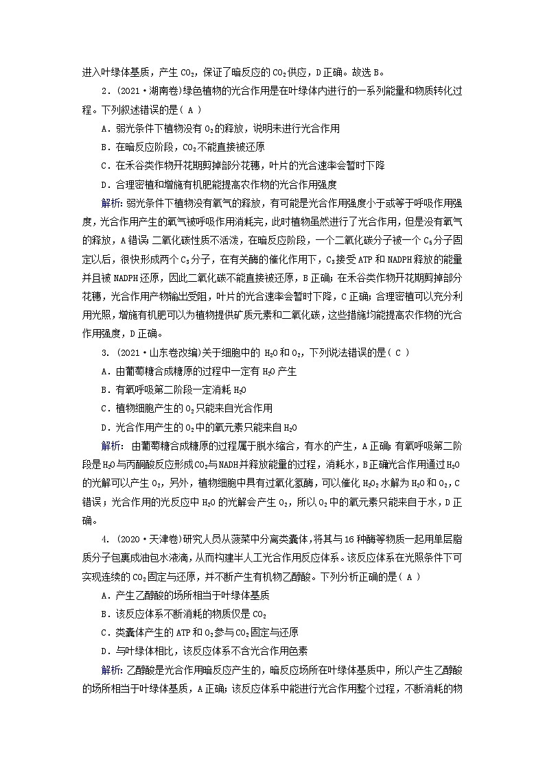 2025高考生物一轮复习素养提升练习必修1第3单元细胞的能量供应和利用第3讲捕获光能的色素和结构光合作用的原理第2页