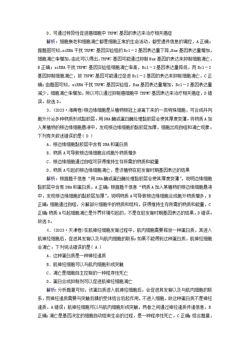 2025高考生物一轮复习素养提升练习必修1第4单元细胞的生命历程第3讲细胞的分化衰老和死亡03