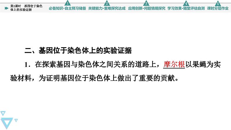 2023-2024学年  必修二　苏教版 基因位于染色体上的实验证据  课件05