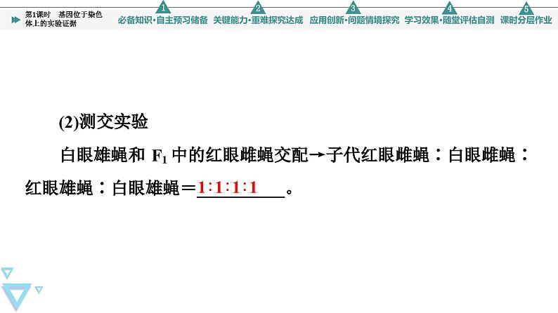 2023-2024学年  必修二　苏教版 基因位于染色体上的实验证据  课件07