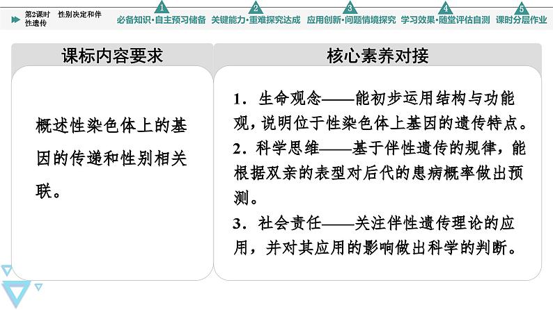 2023-2024学年  必修二　苏教版 性别决定和伴性遗传  课件02