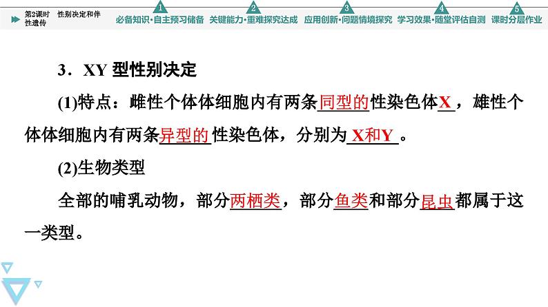 2023-2024学年  必修二　苏教版 性别决定和伴性遗传  课件05