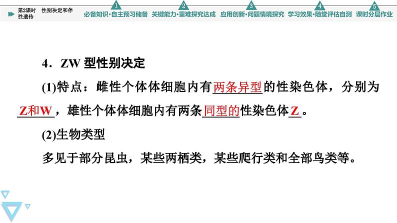 2023-2024学年  必修二　苏教版 性别决定和伴性遗传  课件06