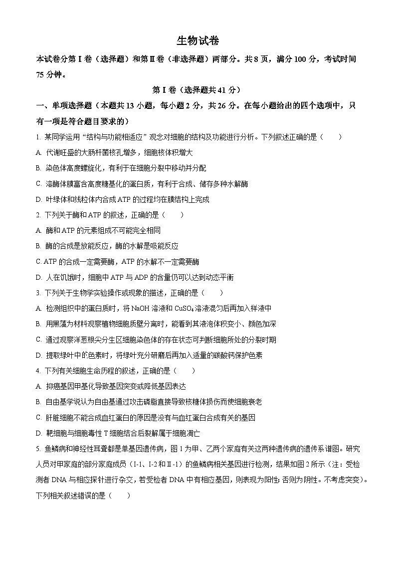 2024届河北省邢台市部分高中高三下学期二模生物试题（原卷版+解析版）01