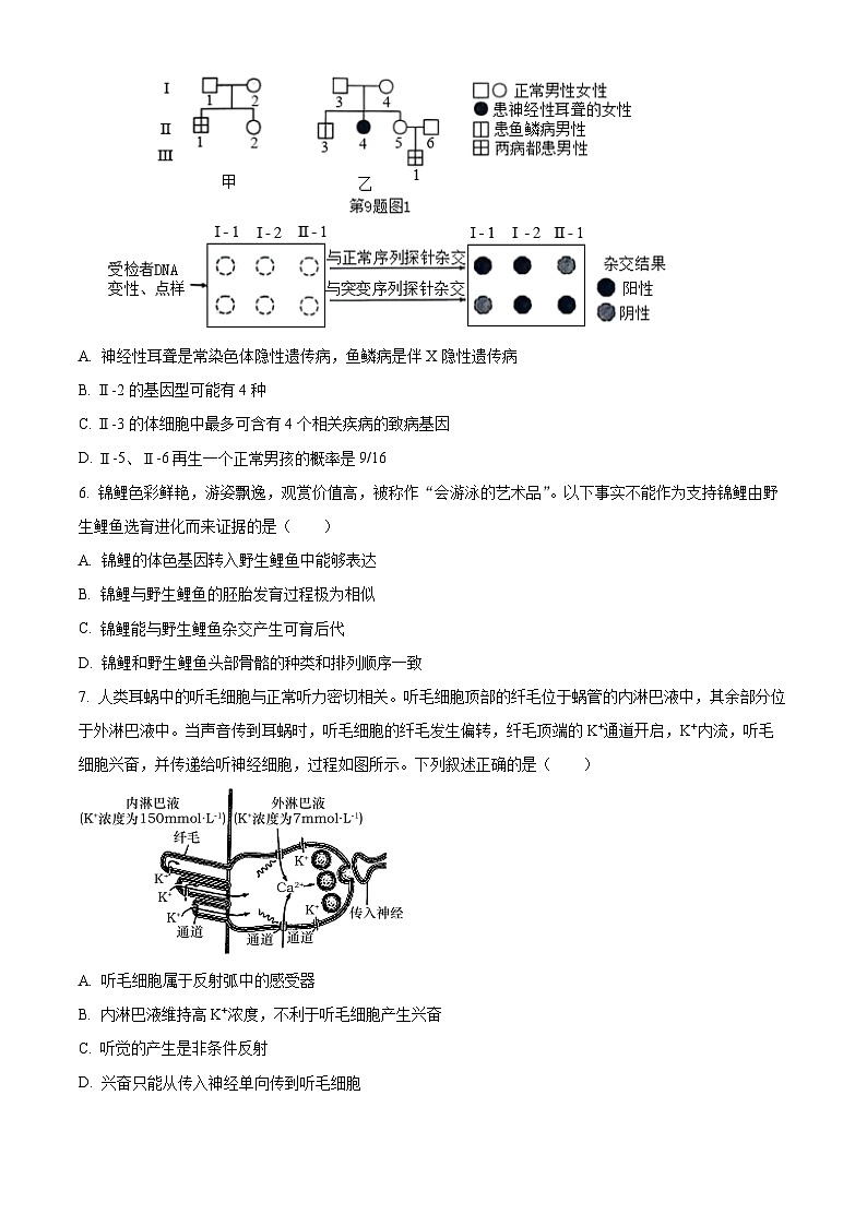 2024届河北省邢台市部分高中高三下学期二模生物试题（原卷版+解析版）02