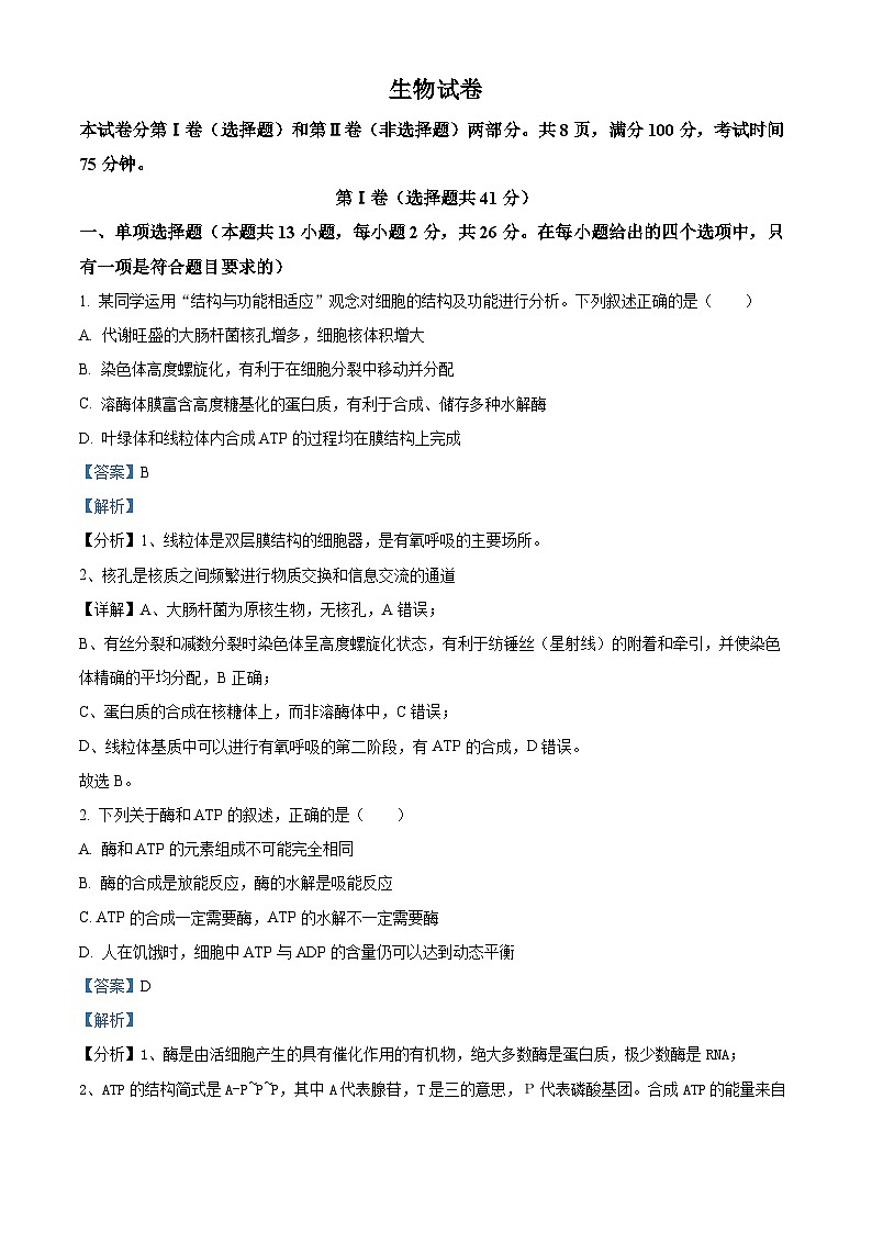 2024届河北省邢台市部分高中高三下学期二模生物试题（原卷版+解析版）01
