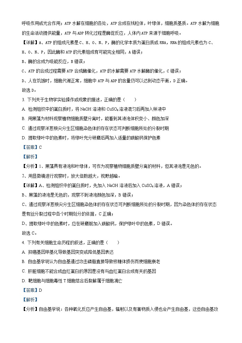 2024届河北省邢台市部分高中高三下学期二模生物试题（原卷版+解析版）02