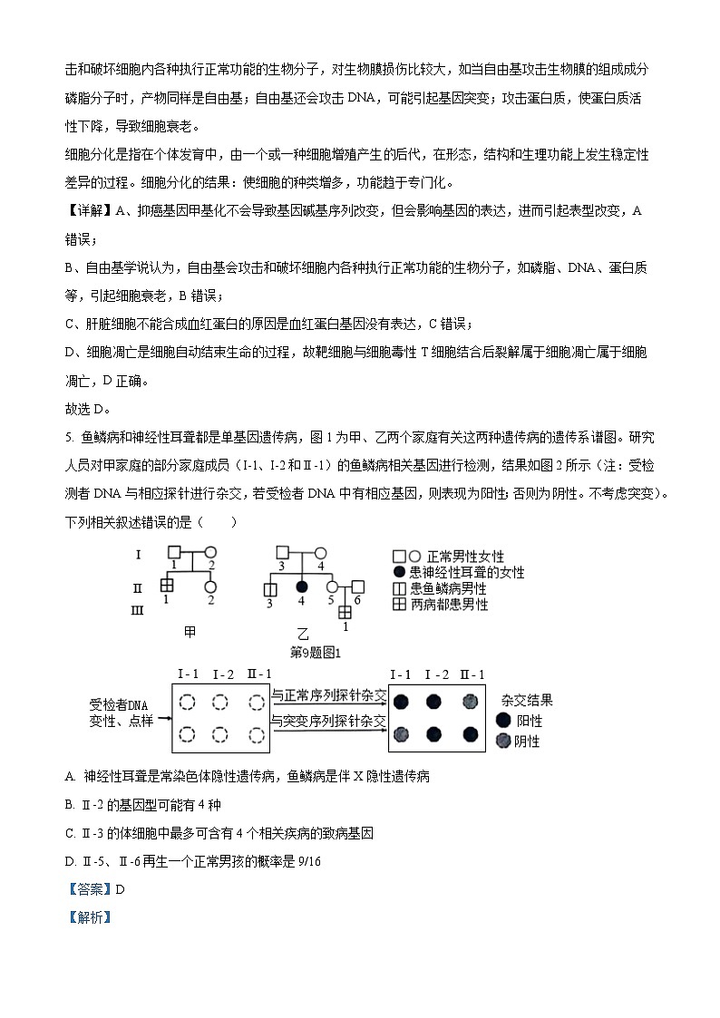 2024届河北省邢台市部分高中高三下学期二模生物试题（原卷版+解析版）03