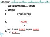 2023-2024学年  必修二　苏教版  两对相对性状的杂交实验与自由组合现象的解释  课件