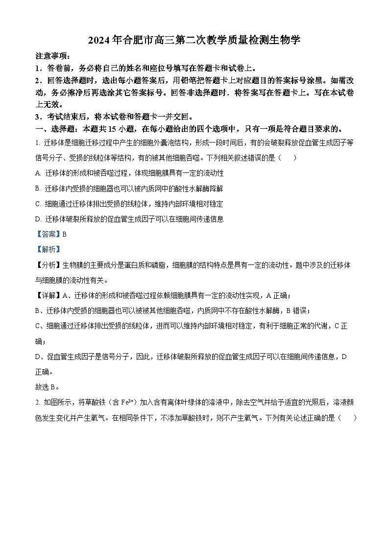 安徽省合肥市2024届高三下学期第二次质量检测生物试题（原卷版+解析版）01