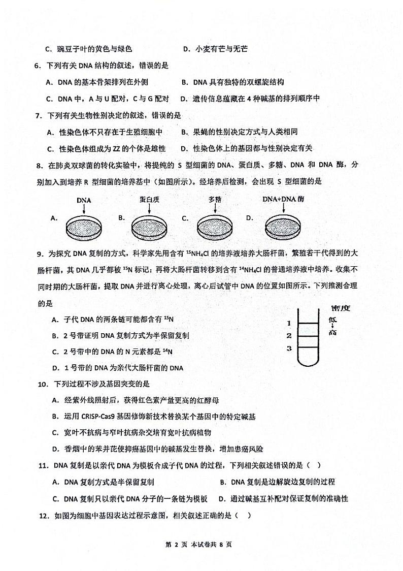 江苏省南通市海安市实验中学2023-2024学年高一下学期4月期中考试生物试题02