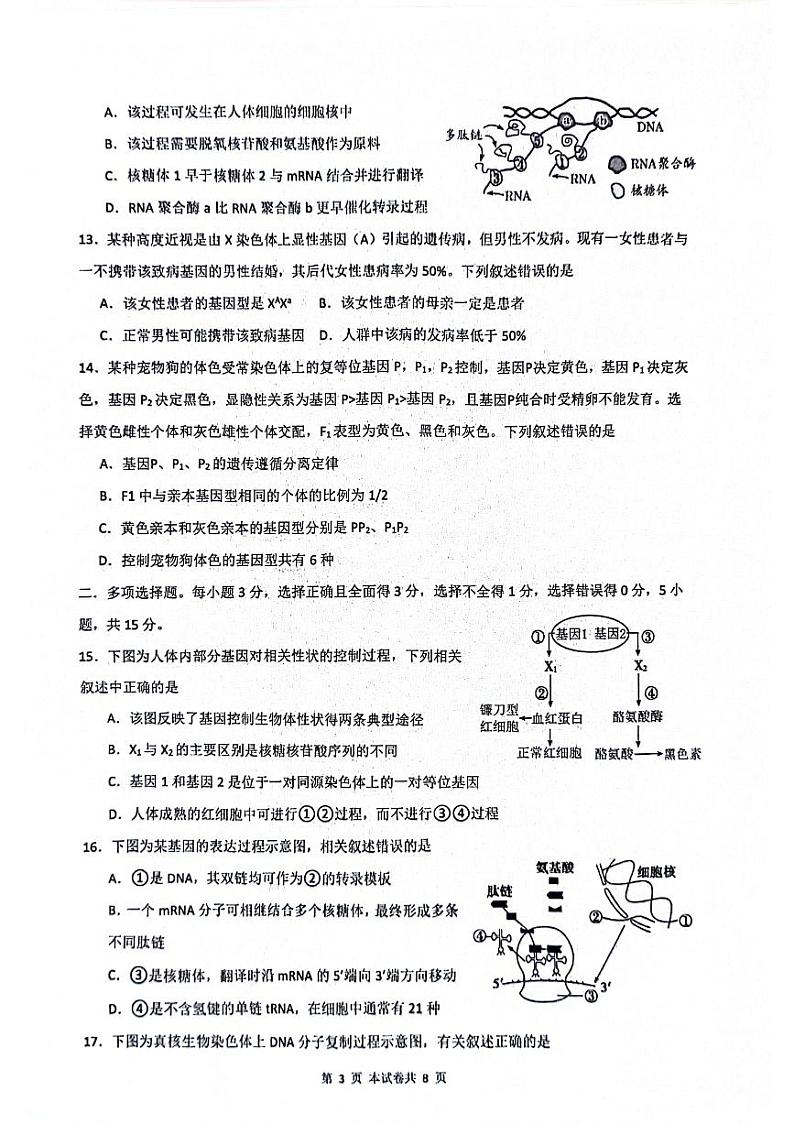 江苏省南通市海安市实验中学2023-2024学年高一下学期4月期中考试生物试题03