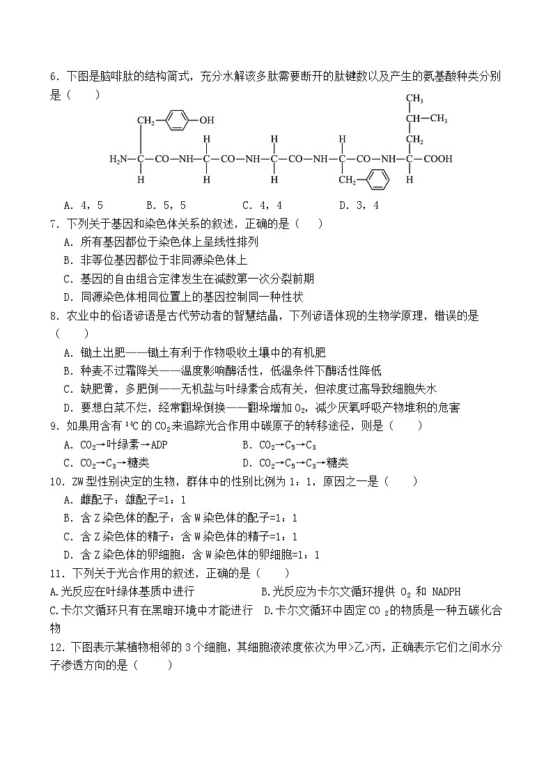 浙江省杭州市西湖高级中学2023-2024学年高一下学期4月期中考试生物试题（Word版附答案）02
