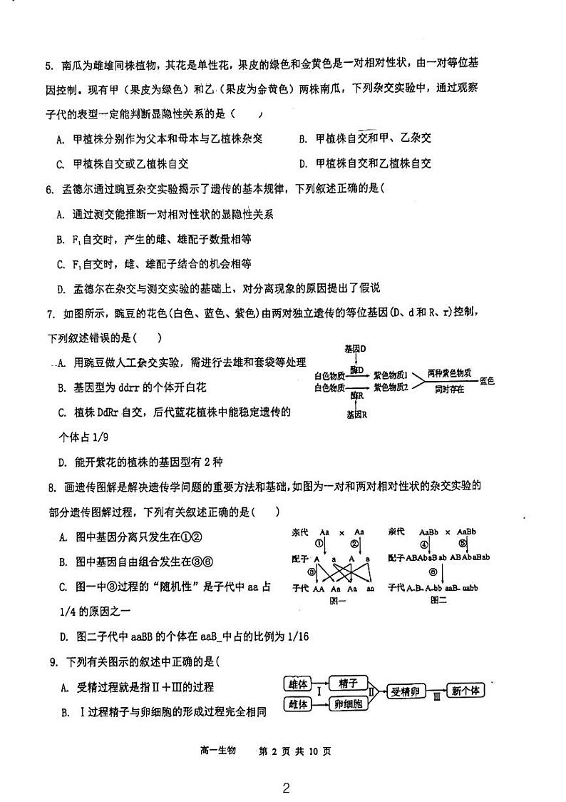 天津市河东区求真中学2023-2024学年高一下学期期中考试生物试卷第2页