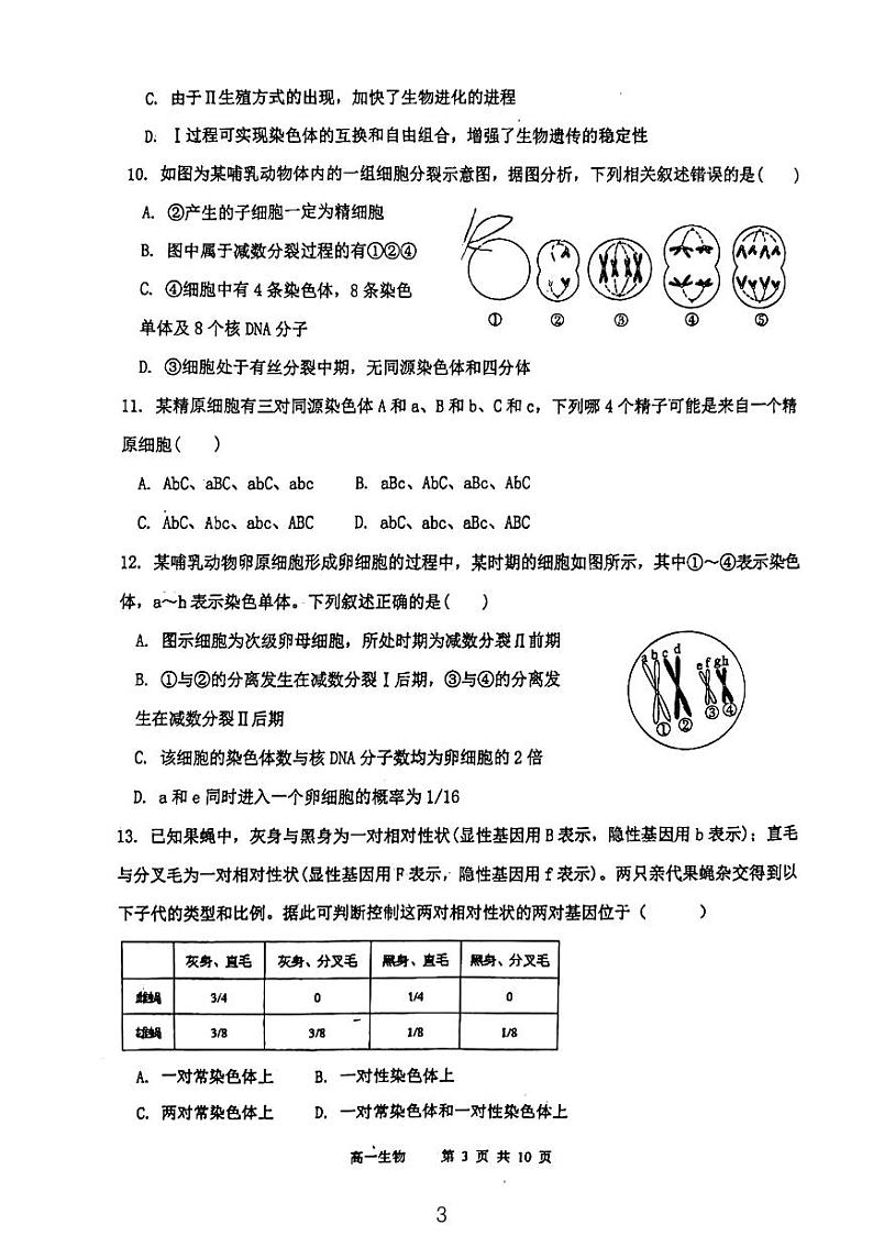 天津市河东区求真中学2023-2024学年高一下学期期中考试生物试卷第3页