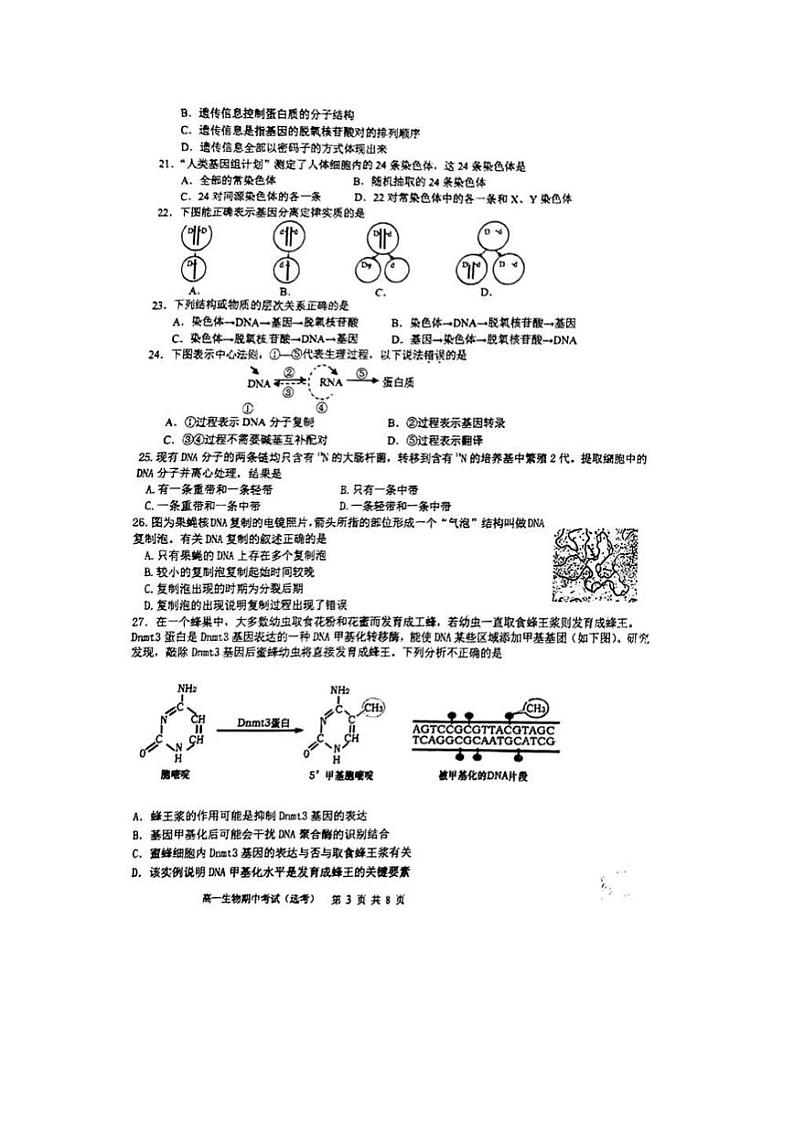 北京市西城区育才学校2023-2024学年高一下学期期中考试生物试题第3页