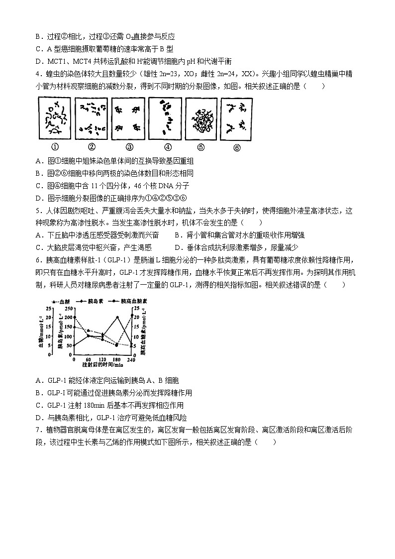 2024届海南省海口市高三下学期一模生物试题(无答案)02