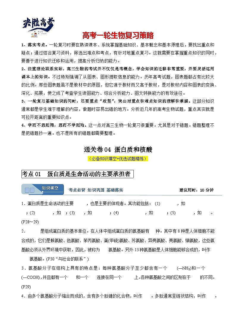 考点通关卷04 蛋白质和核酸（原卷版）第1页