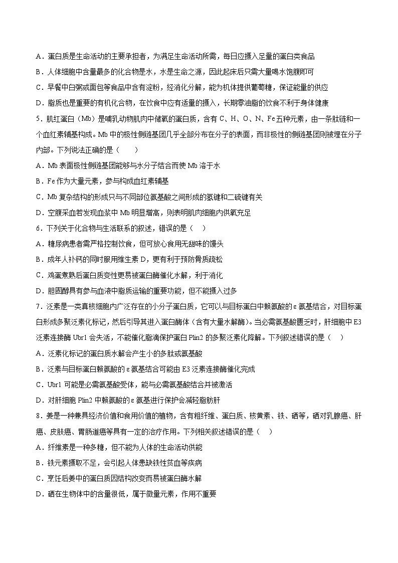 考点通关卷04 蛋白质和核酸（原卷版）第3页