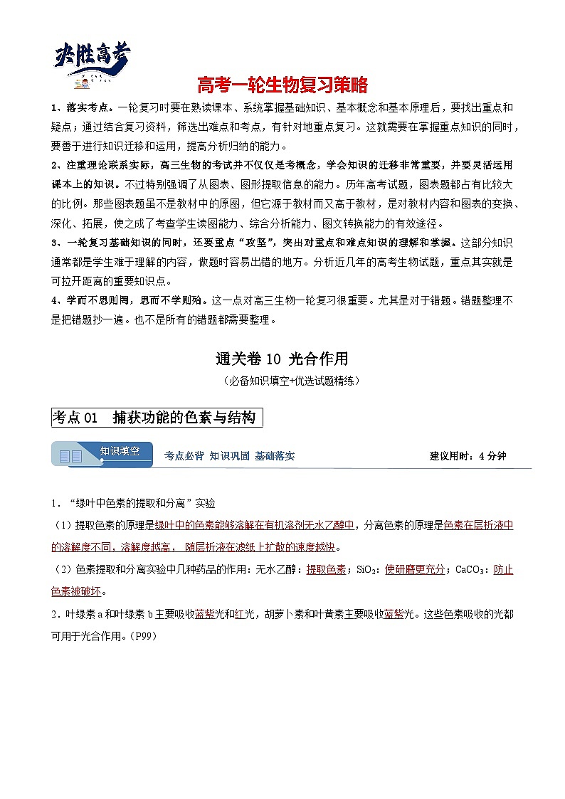 考点通关卷10+光合作用-2024年高考生物一轮复习考点通关卷01