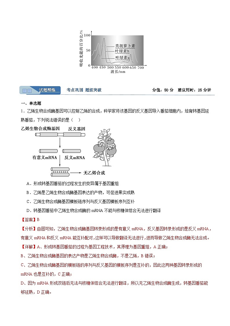 考点通关卷10+光合作用-2024年高考生物一轮复习考点通关卷02