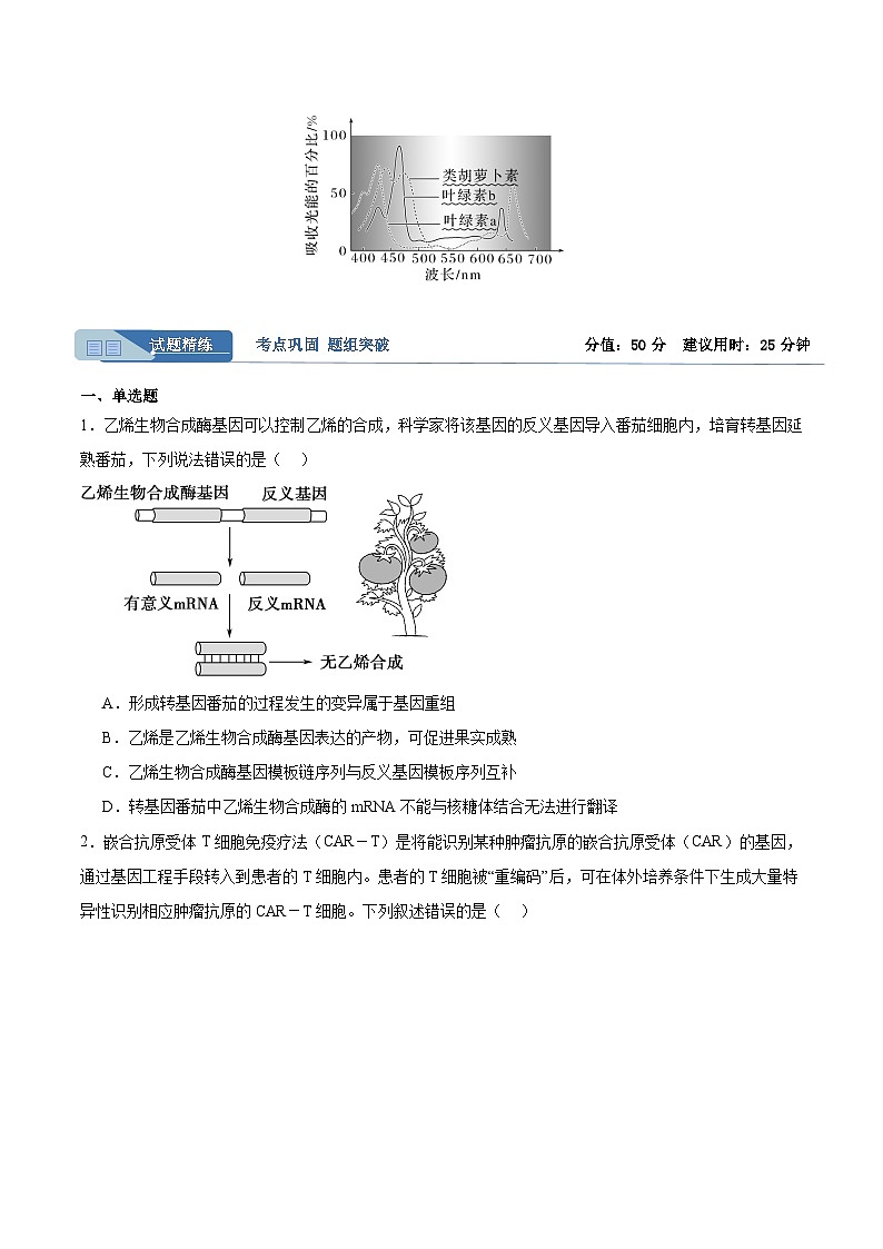 考点通关卷10+光合作用-2024年高考生物一轮复习考点通关卷02