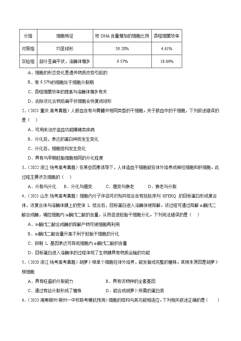 考点通关卷14+细胞分化、衰老、凋亡和癌变-2024年高考生物一轮复习考点通关卷02