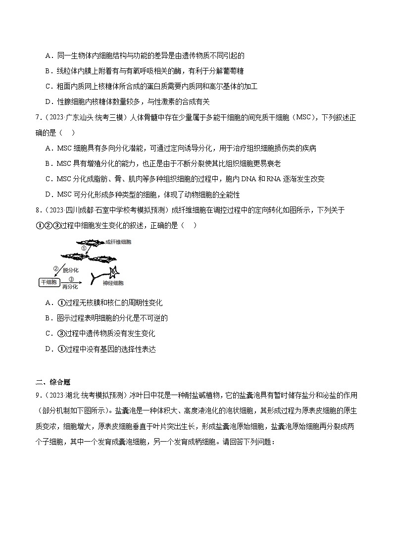 考点通关卷14+细胞分化、衰老、凋亡和癌变-2024年高考生物一轮复习考点通关卷03