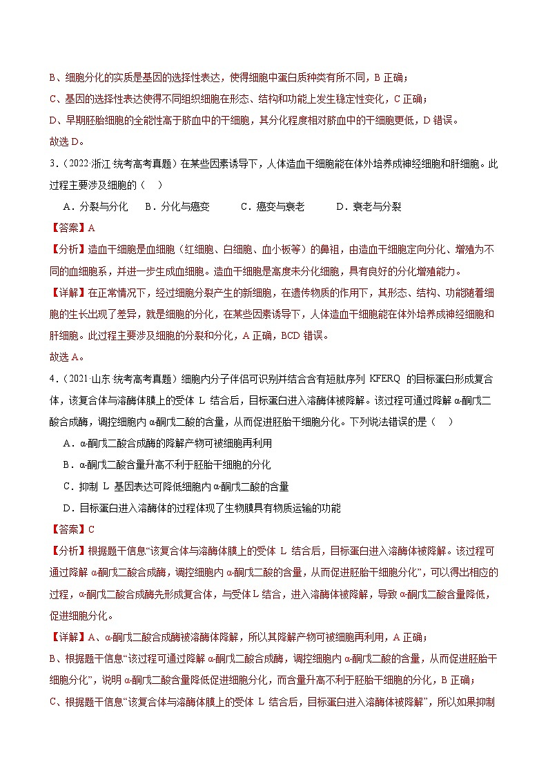 考点通关卷14+细胞分化、衰老、凋亡和癌变-2024年高考生物一轮复习考点通关卷03