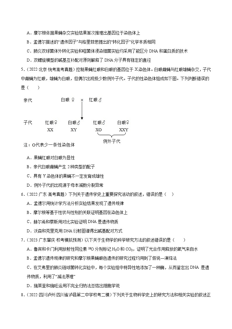 考点通关卷17 遗传的基础知识（原卷版）第3页