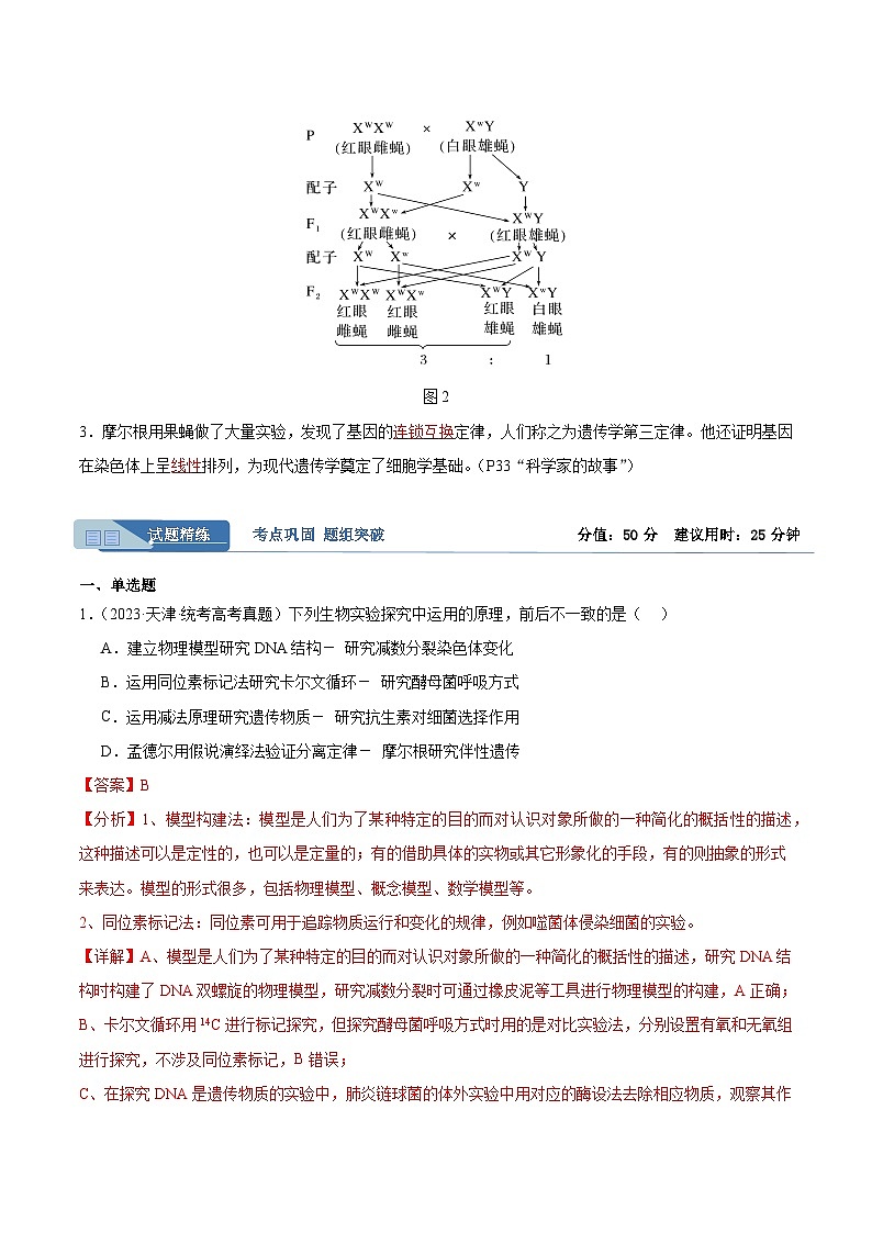 考点通关卷17 遗传的基础知识（解析版）第2页