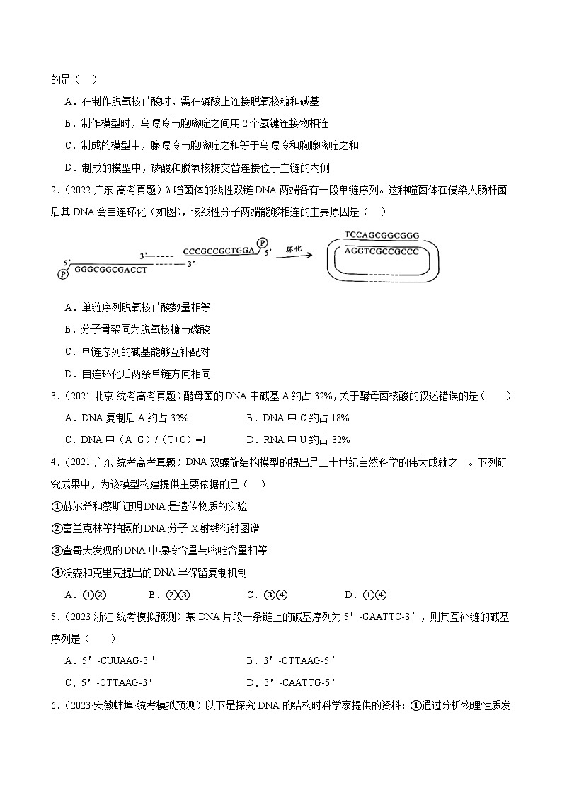 考点通关卷21+DNA分子的结构、复制与基因的本质-2024年高考生物一轮复习考点通关卷02