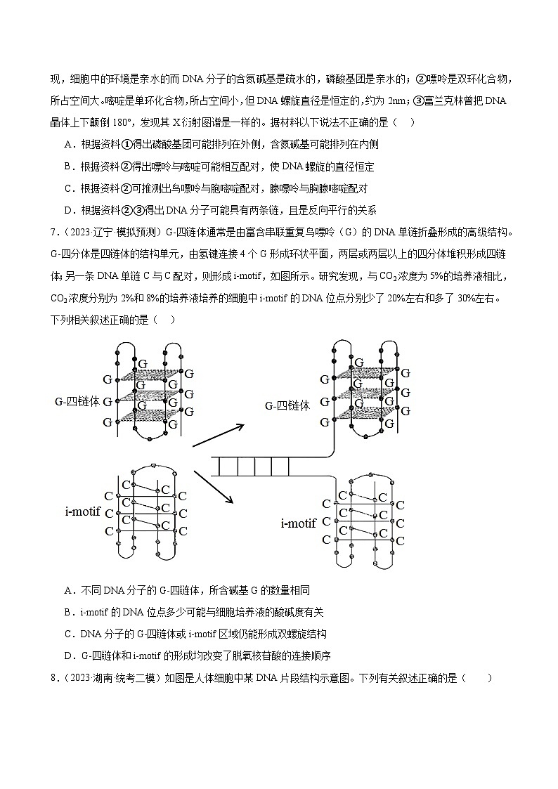 考点通关卷21+DNA分子的结构、复制与基因的本质-2024年高考生物一轮复习考点通关卷03