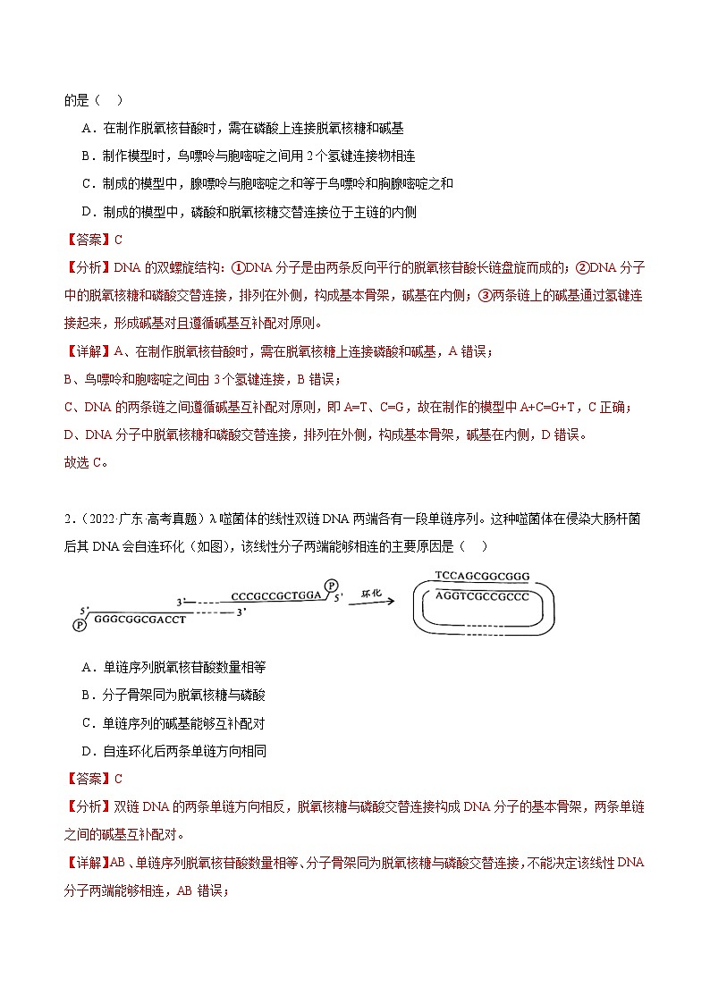 考点通关卷21+DNA分子的结构、复制与基因的本质-2024年高考生物一轮复习考点通关卷02
