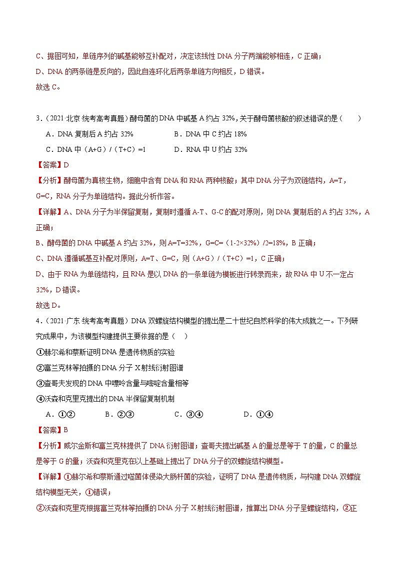 考点通关卷21+DNA分子的结构、复制与基因的本质-2024年高考生物一轮复习考点通关卷03