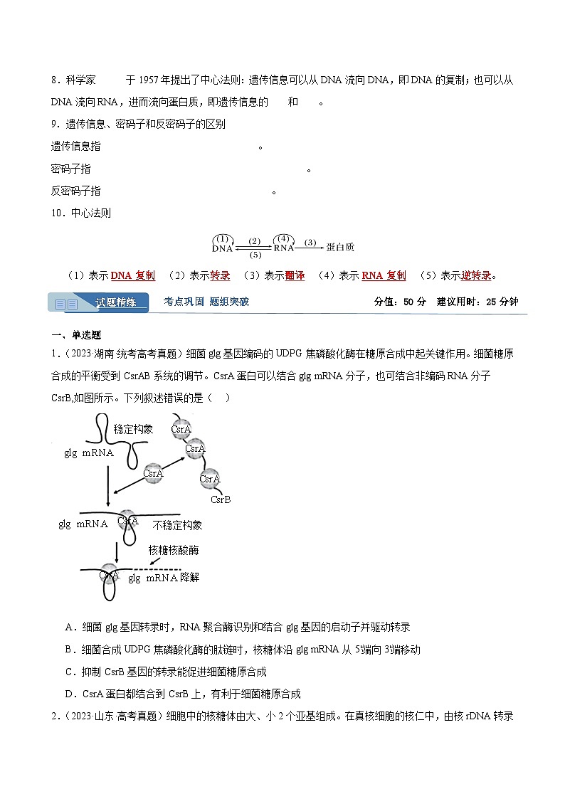 考点通关卷22+基因的表达、基因与性状的关系-2024年高考生物一轮复习考点通关卷02