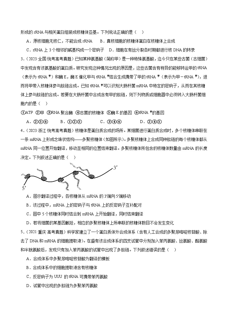 考点通关卷22+基因的表达、基因与性状的关系-2024年高考生物一轮复习考点通关卷03
