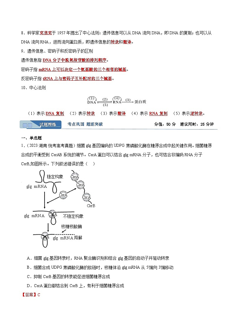 考点通关卷22+基因的表达、基因与性状的关系-2024年高考生物一轮复习考点通关卷02